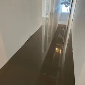 Self Leveling